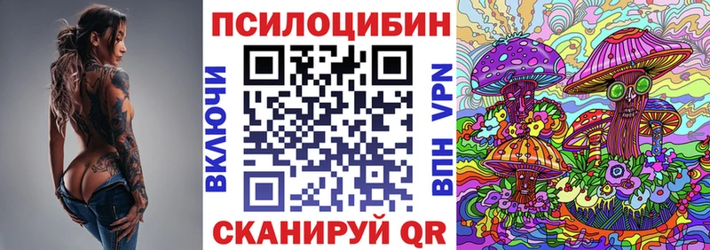 Галлюциногенные грибы Psilocybine cubensis Болгар